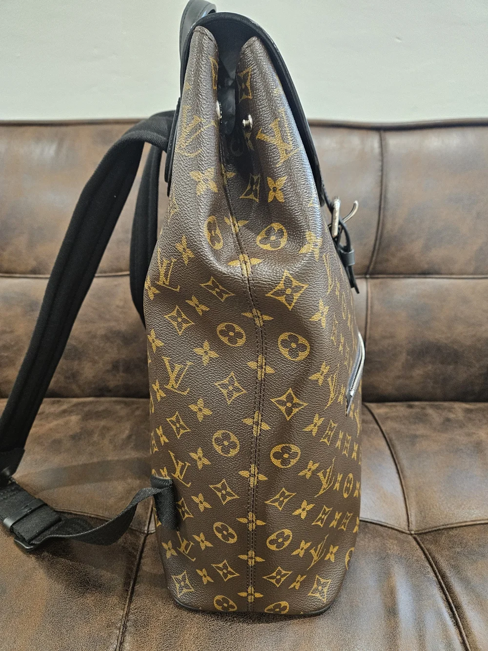 LOUIS VUITTON MONOGRAM MACASSAR PALK BACK